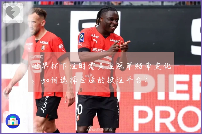 世界杯下注时需关注冠军赔率变化，如何选择合适的投注平台？