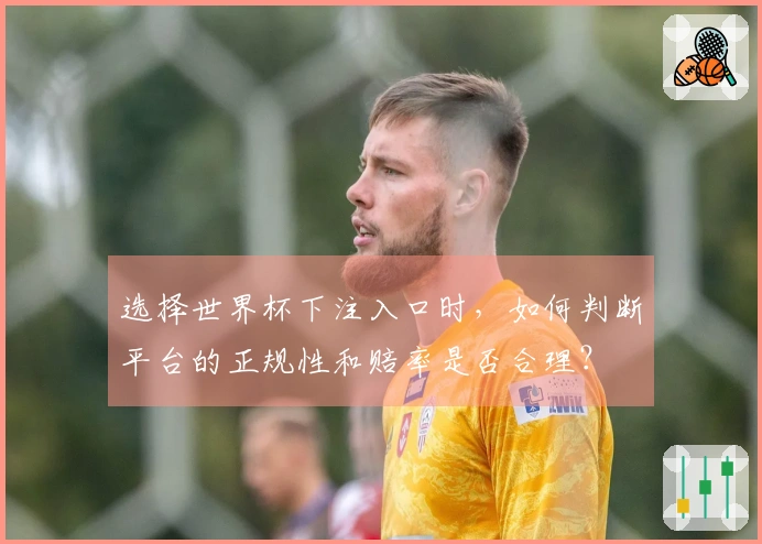 选择世界杯下注入口时，如何判断平台的正规性和赔率是否合理？