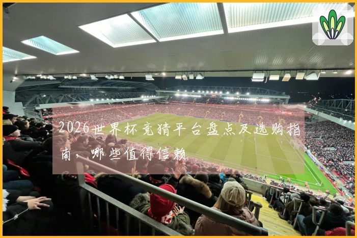 2026世界杯竞猜平台盘点及选购指南，哪些值得信赖