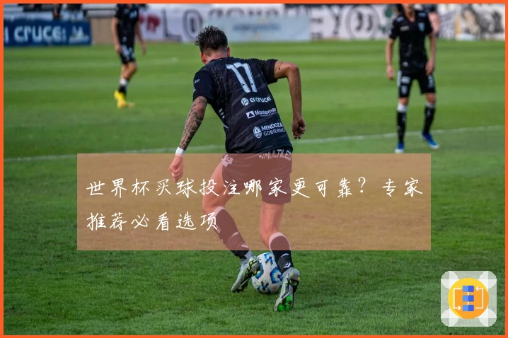 世界杯买球投注哪家更可靠？专家推荐必看选项