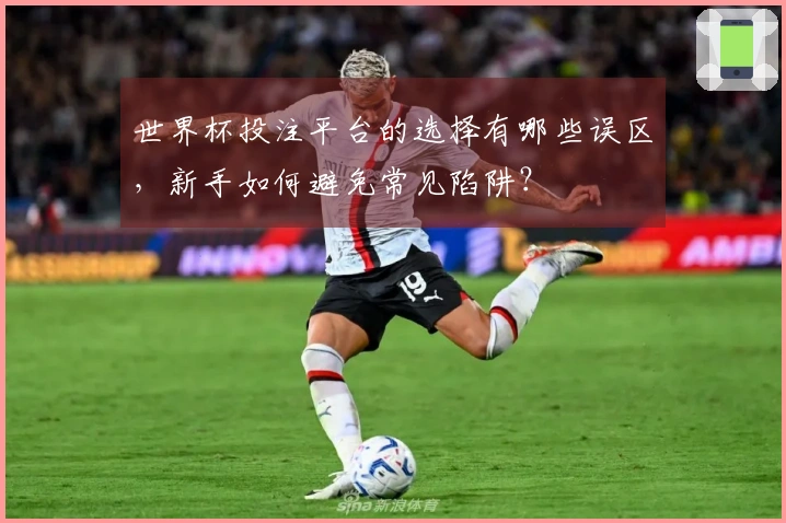 世界杯投注平台的选择有哪些误区，新手如何避免常见陷阱？