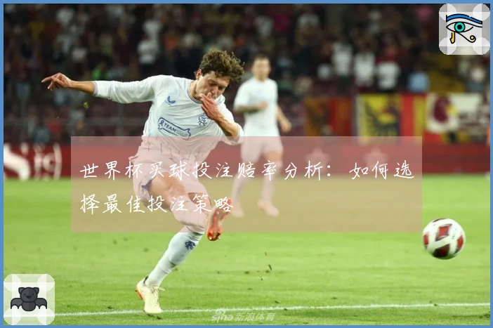 世界杯买球投注赔率分析：如何选择最佳投注策略