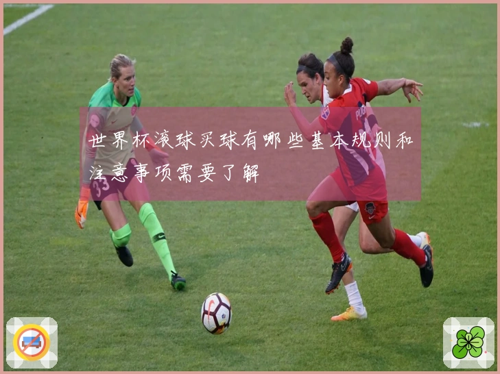 世界杯滚球买球有哪些基本规则和注意事项需要了解