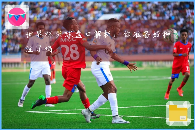 世界杯买球盘口解析，你准备好押注了吗