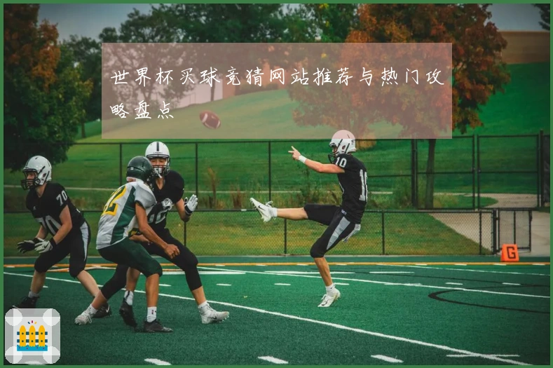 世界杯买球竞猜网站推荐与热门攻略盘点