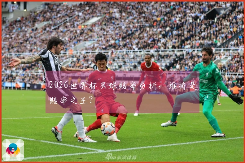 2026世界杯买球赔率分析，谁将是赔率之王？