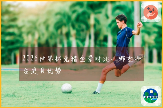 2026世界杯竞猜全景对比，哪些平台更具优势