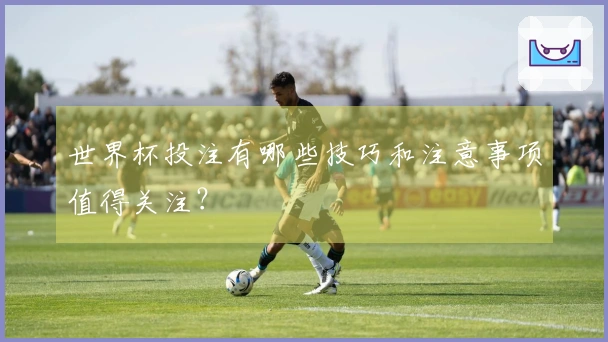 世界杯投注有哪些技巧和注意事项值得关注？