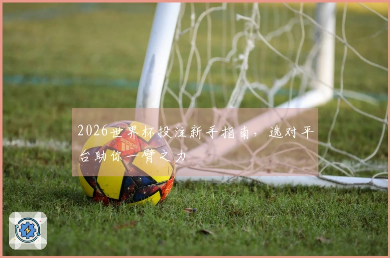 2026世界杯投注新手指南，选对平台助你一臂之力