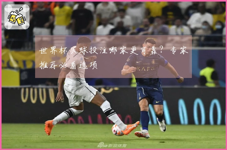世界杯买球投注哪家更可靠？专家推荐必看选项